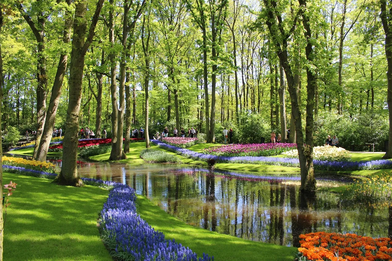 Netherlands and Belgium03
